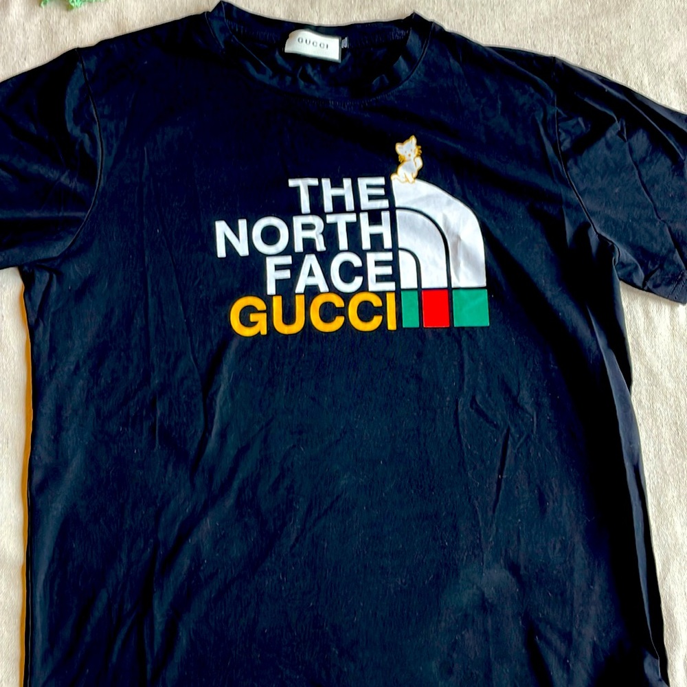 NFS - NOT AUTHENTIC - North Face Moochi
